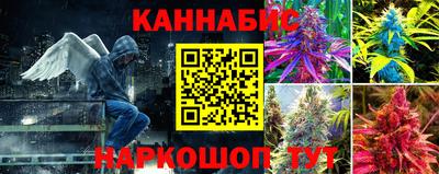 стаф Камышлов