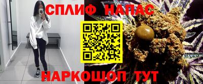 стаф Камышлов