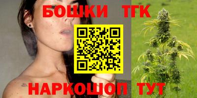 стаф Камышлов