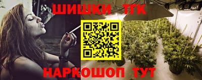стаф Камышлов