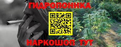 прущий лед Канаш