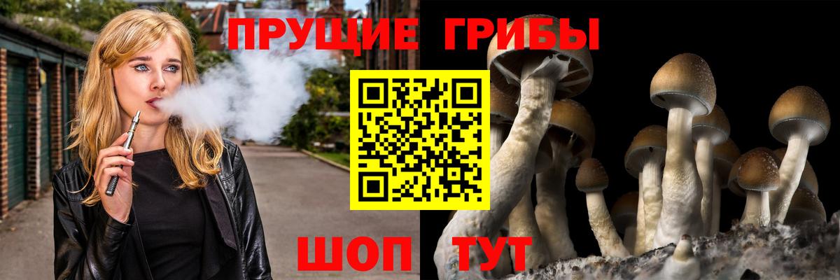 Галлюциногенные грибы Magic Shrooms Курчалой