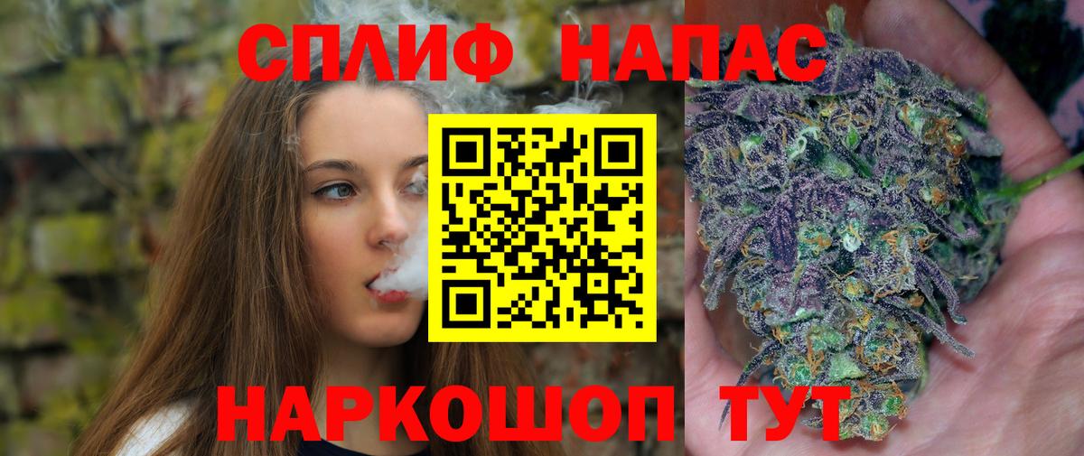 Марихуана планчик  Бошки марихуана марихуана  Марихуана White Widow  Вход с VPN  Курчалой 
